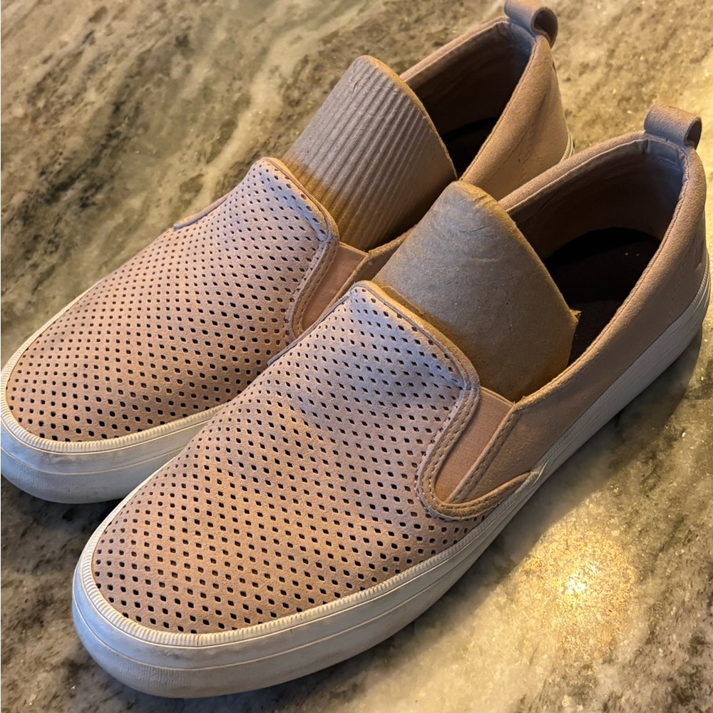Sperry show